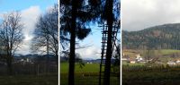 46 haselbach und landasberg